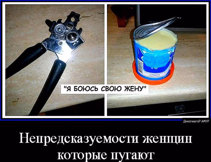 db4865d0642abaf21f74ccec286e12fb.jpg