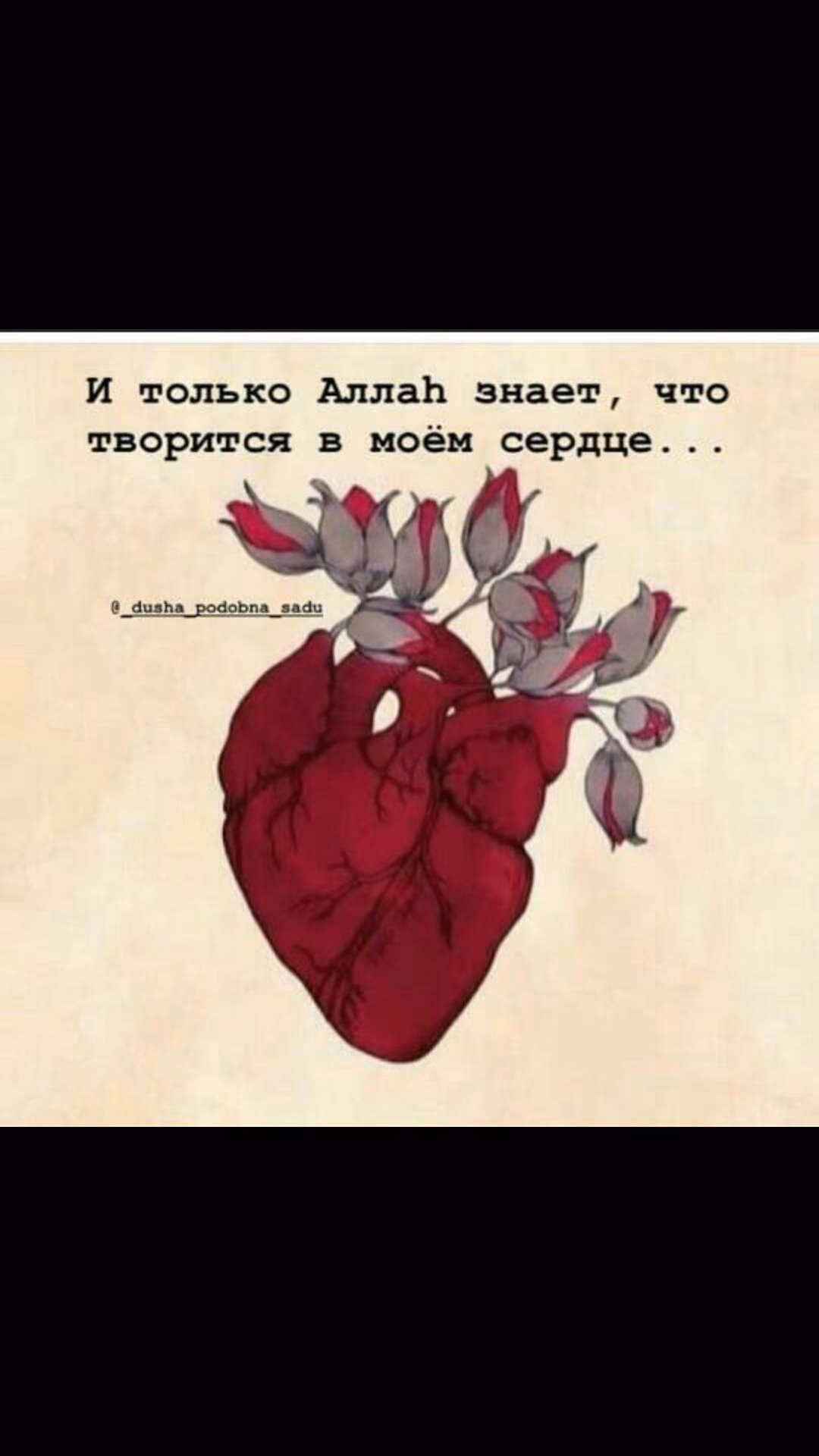db4d6d969372295ead3decfdf1ec0ece.jpg