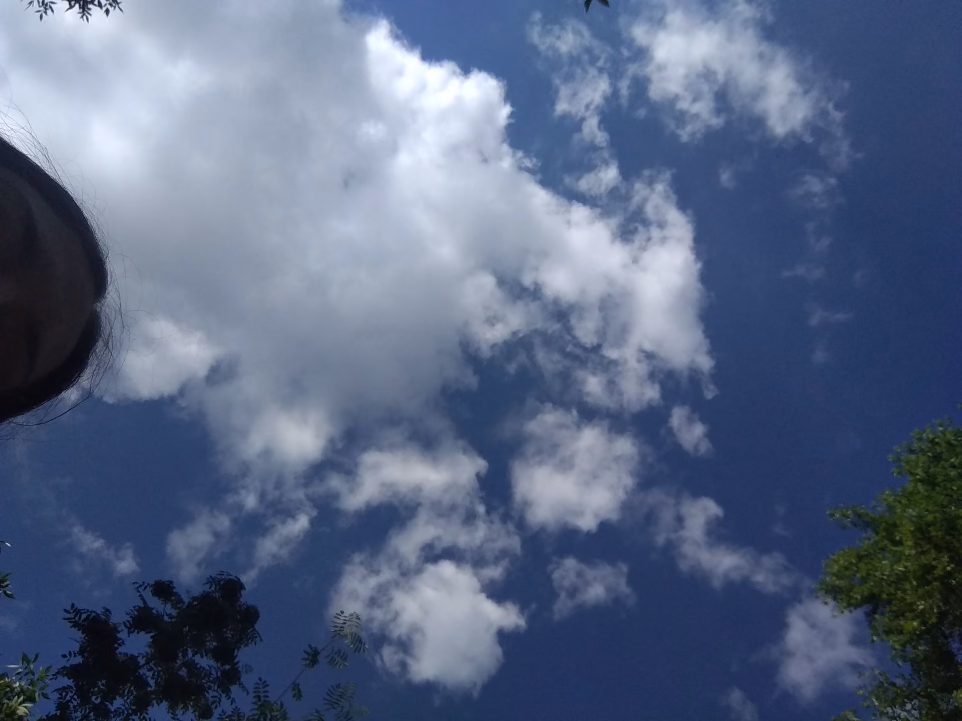 db50943191f696a819b8823cde50723e.jpg