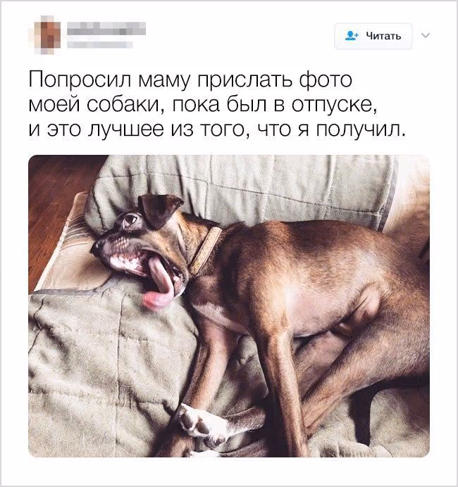db6a8e7df92ce60f0e79dd29efcd278f.avif