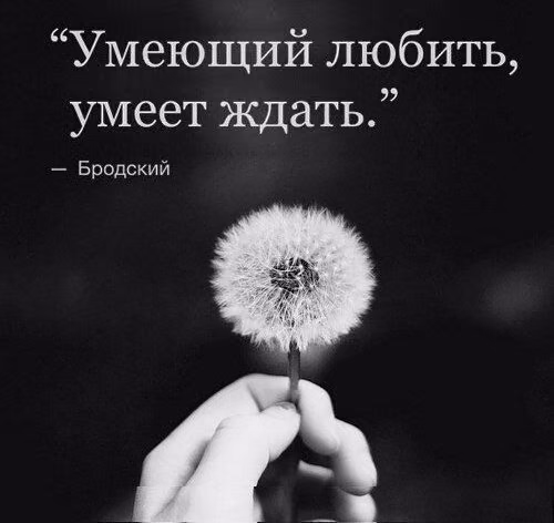 db7234840aa5a2b01b2592677c2ee12f.jpg
