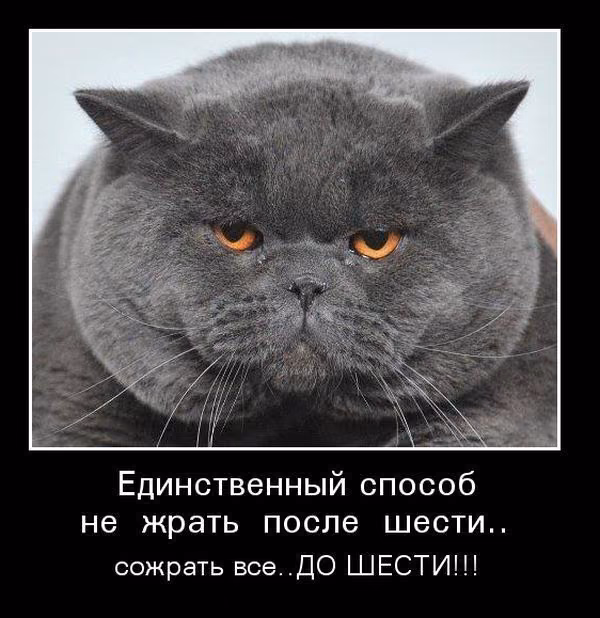 dbc81493692c7b55252884070996f01a.avif