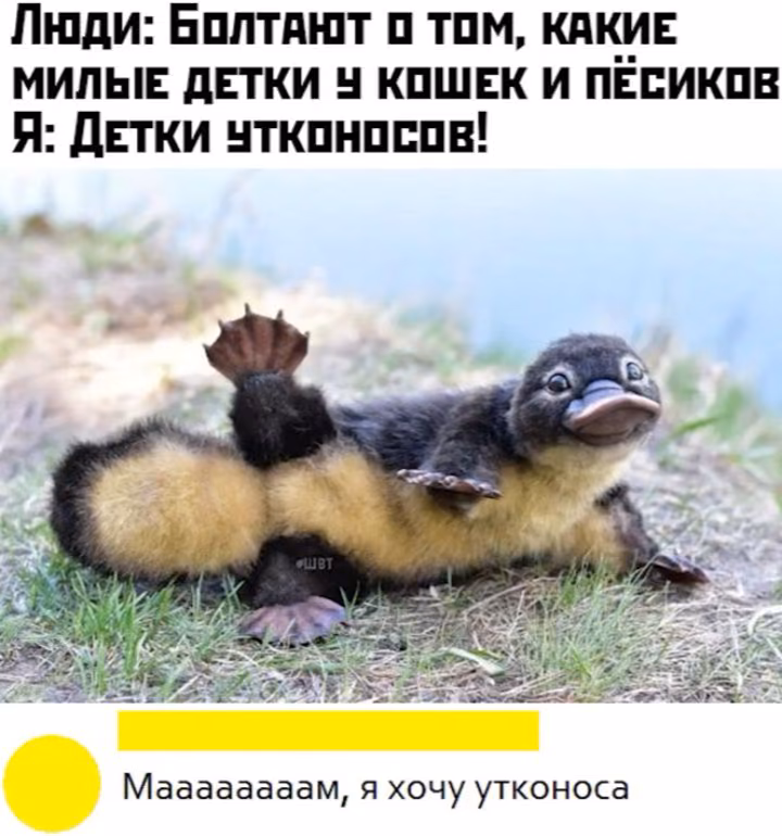 dbd1721b7038aa2c807424cf23606852.avif