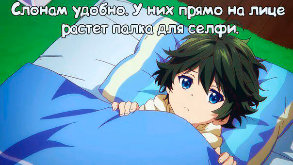 dbf12c0d2449d4e50d93546267151622.jpg