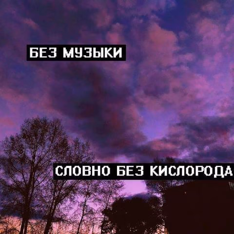 dbf38c87c754d0b5d8d81798882a1bb5.jpg