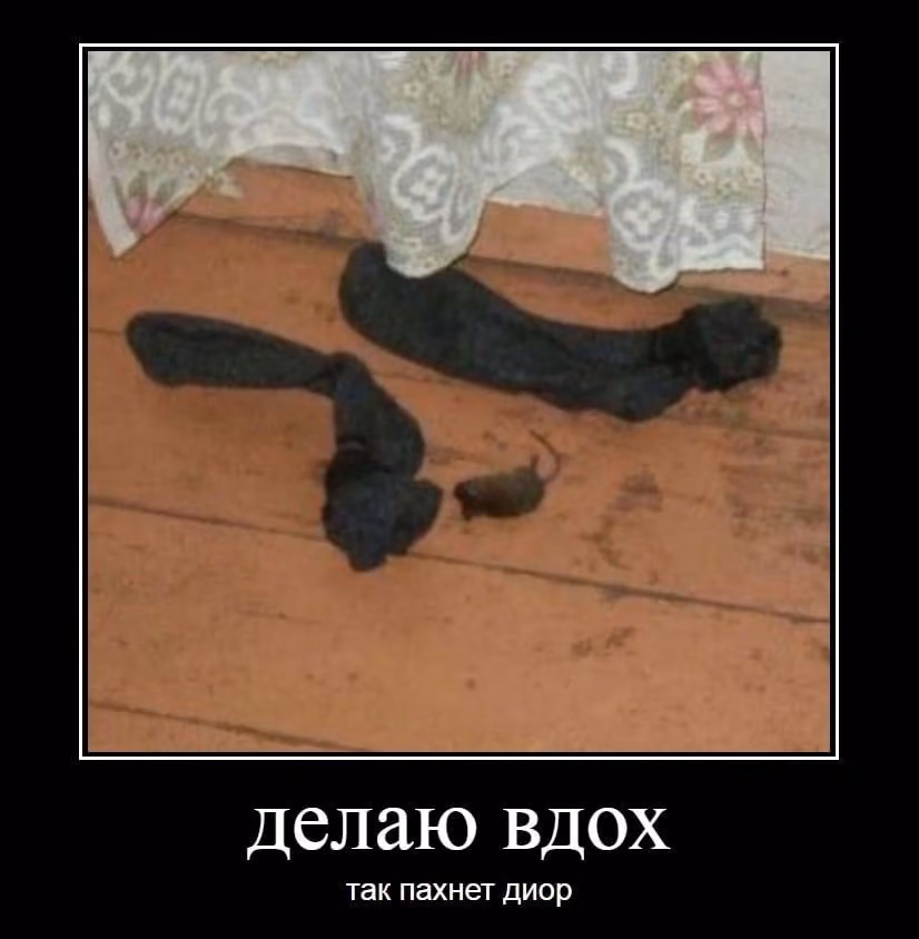dbf86a00ee45b0307b7ad927e370d96f.jpg