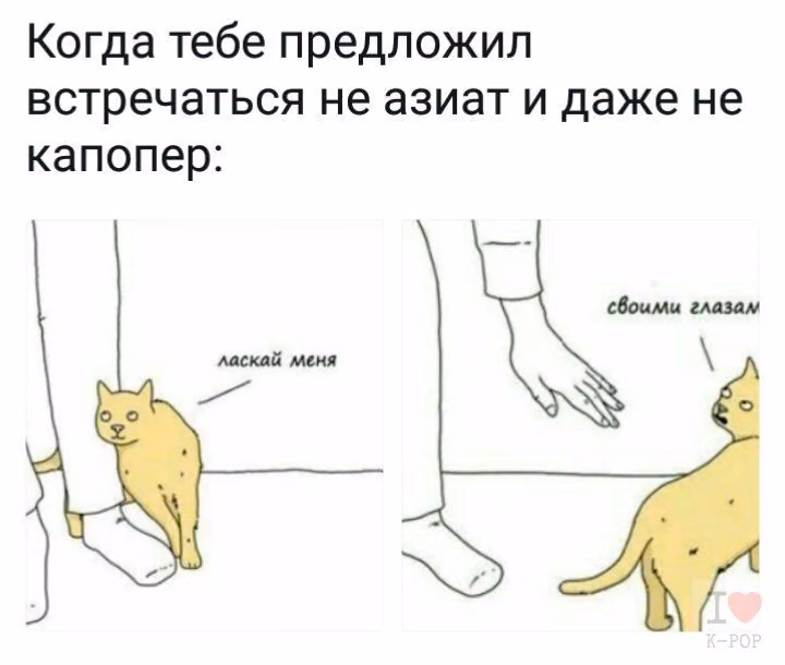 dbfbb5b17987a8567586f8f51d406197.jpg