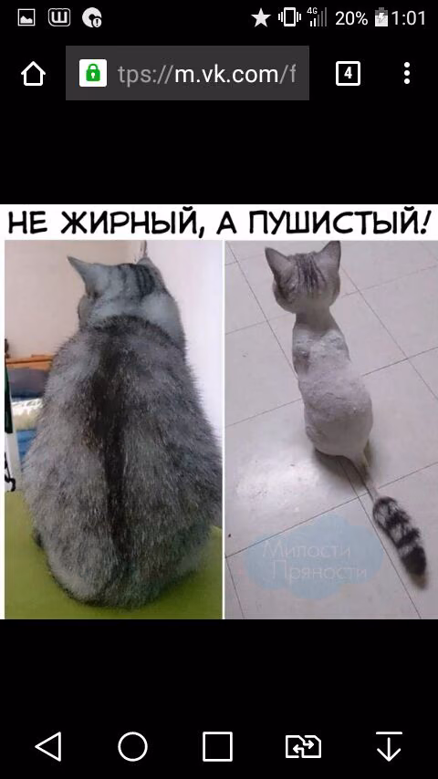 dbfbeb01f35318703d32001ef6a54f29.jpg