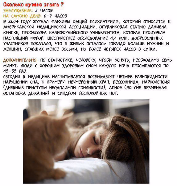 dbfd50f92266f285d3c9bd5ed8d3b61e.avif