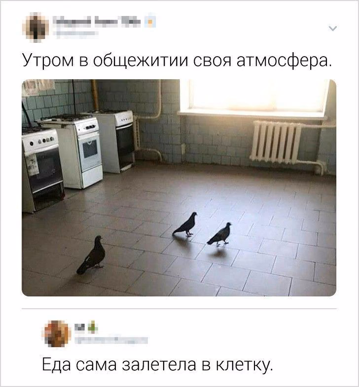 dc0f7b9425b781c862d0956583b30cae.avif