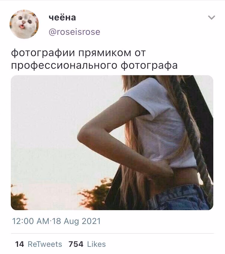 dc147209b4e9fa3be4d61a5bd7a911a9.avif