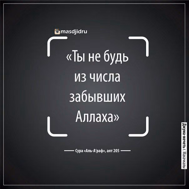 dc1a7958987a7f8d692b1f1595cf305f.avif