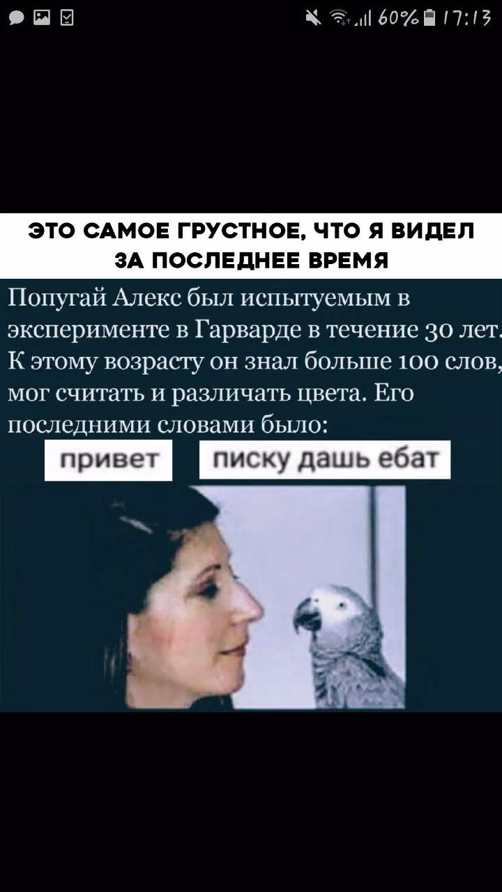 dc1f0b50edabe121dbb443257b537e36.jpg