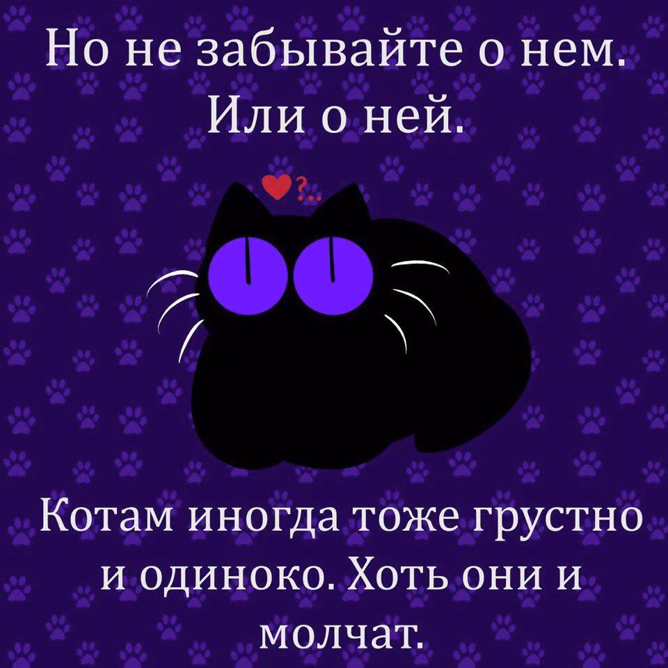 dc2a41793e7574a90e0c9c3a89a41c04.jpg