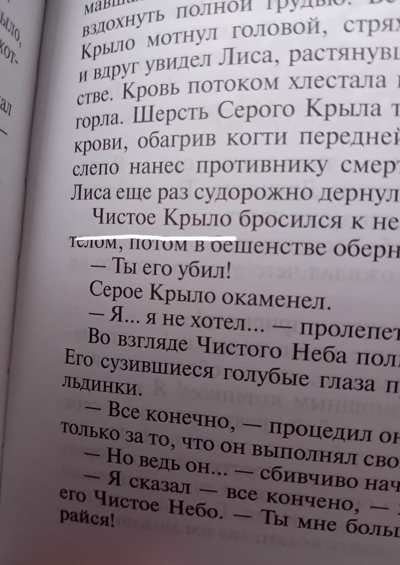 dc2df2abb4cdb9ca95667fb19c0a76a3.jpg
