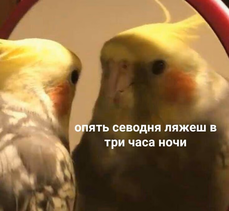 dc3a97f4e831548a5abfff808cc263d4.jpg