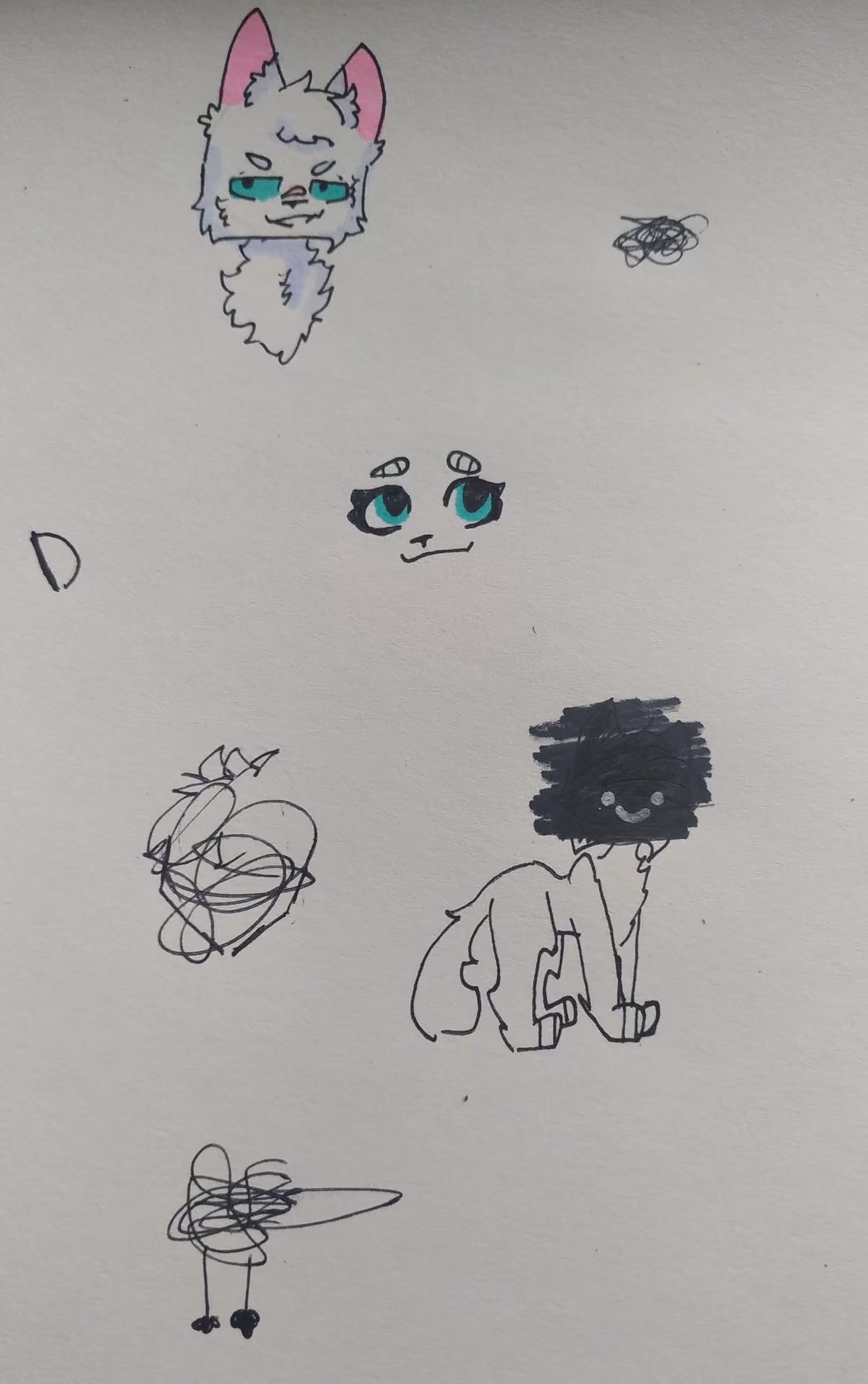 dc4f018b424f006e96b6b686fdb4b013.jpg