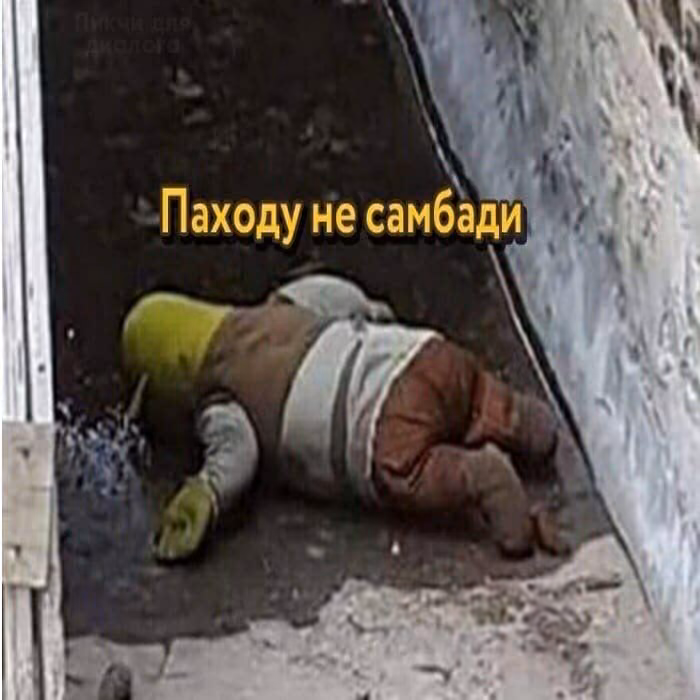 dc5ca60b062fa9a517ccb4deec47c751.avif