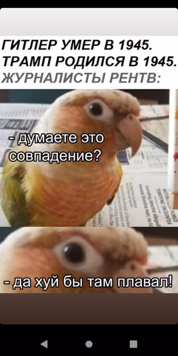 dcb0e3cf15b14259c54c4641a51a98de.avif