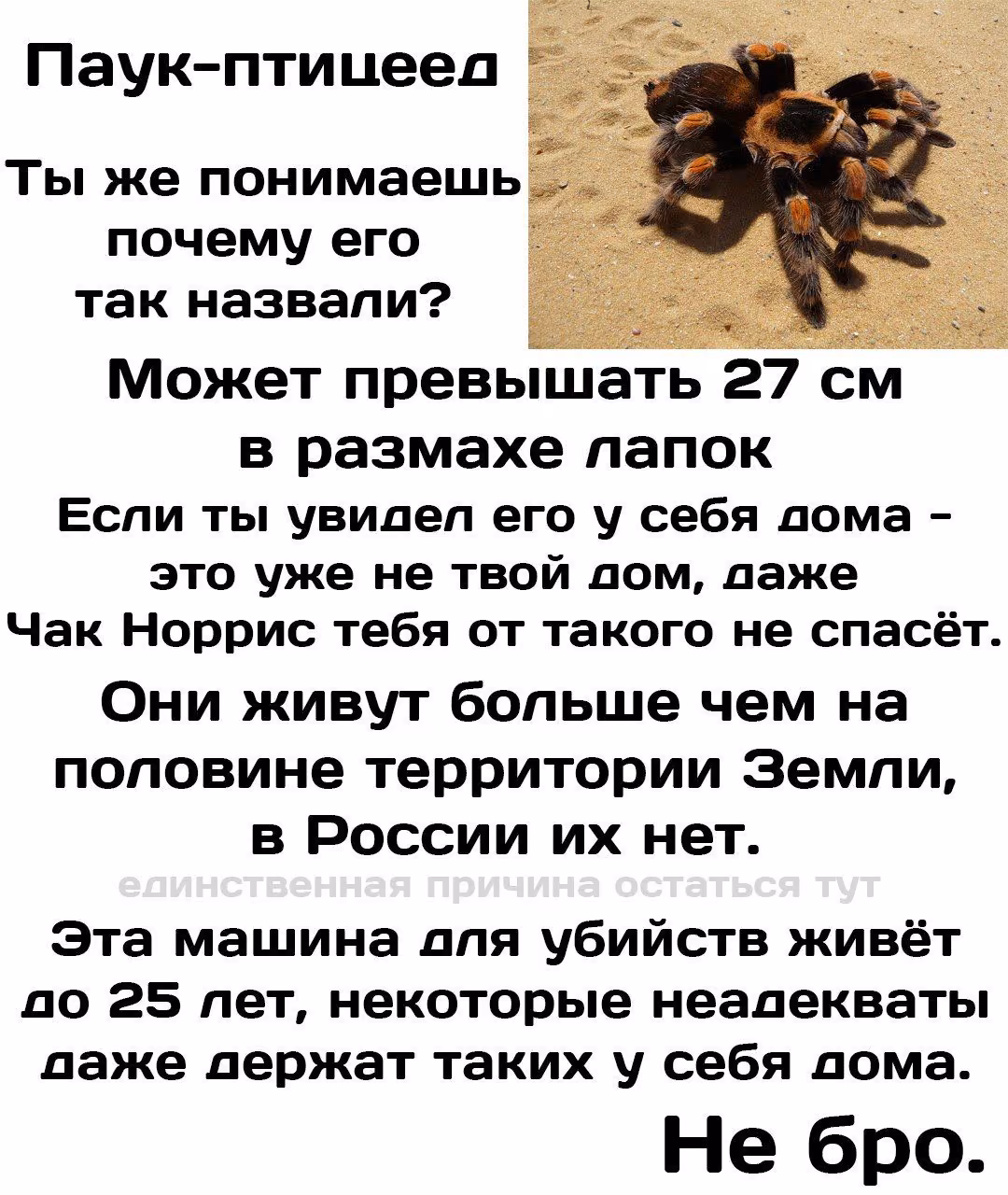 dcba5495402b8529a5c006e90b8fad4c.jpg