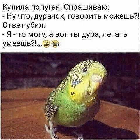 dcde59462086b8ffb1d1d5bb2e2f2941.jpg