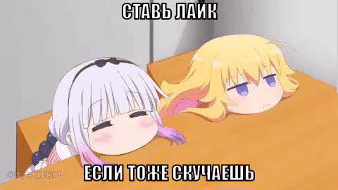 dd058b344d891df34106bf7de91989d8.avif