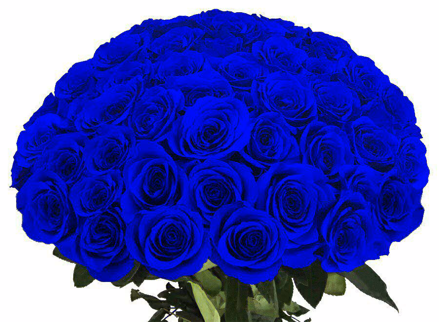dd14ef5f0aff820f35fad7e2b63ced02.jpg