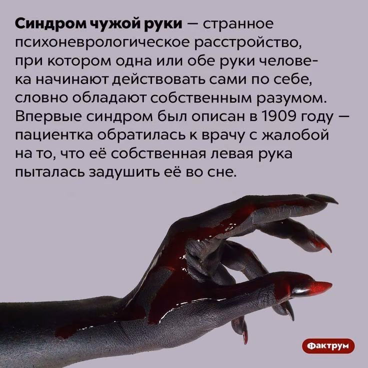 dd1e3b45c70afb38549e9e6678cce270.jpg