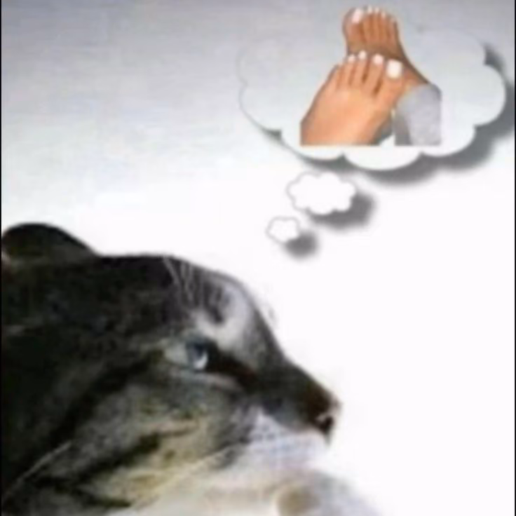 dd2343cd6387f7bafbbdbb9133e5d0fe.avif