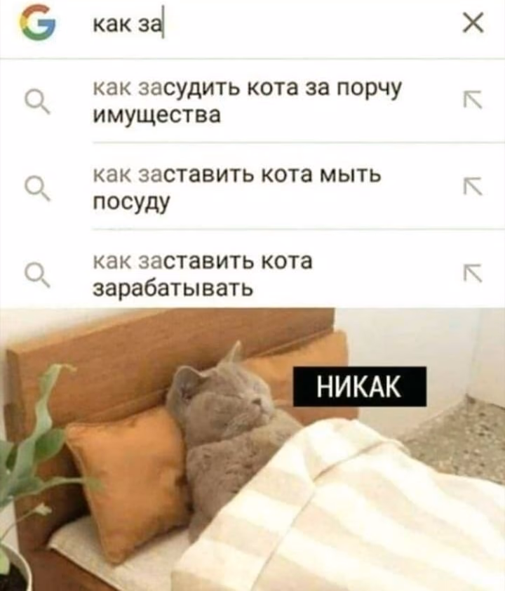 dd295b9ed863e1e5abb8987b2d0f9db7.jpg
