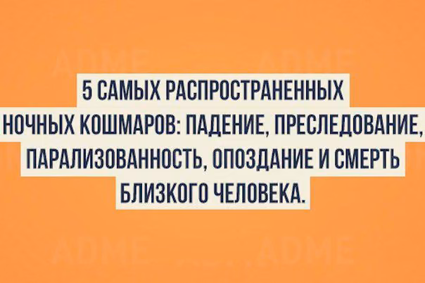 dd39c3ead79717ce38baafb9c04aa683.avif