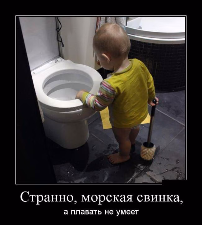 dd43454e70a8fa68fb2ae299d0fd9391.avif