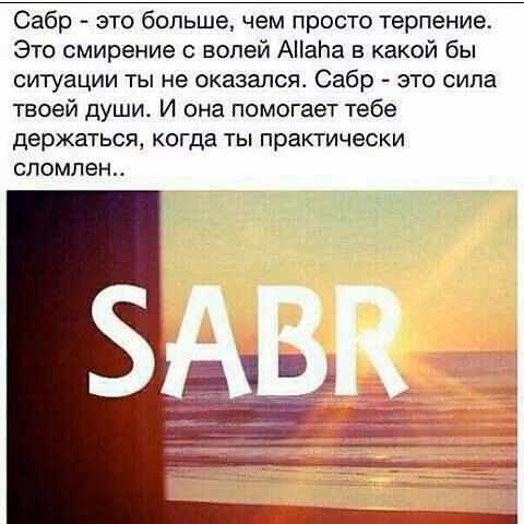 dd6b0f4ad3ea4336fb7d4f09694ea09b.avif