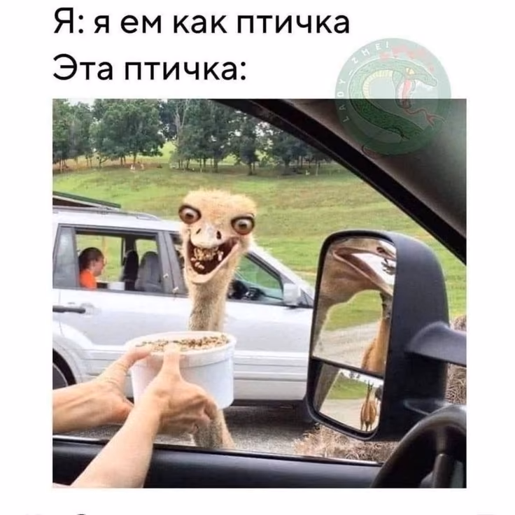 dd73d040c0be172a0222710243d89394.avif