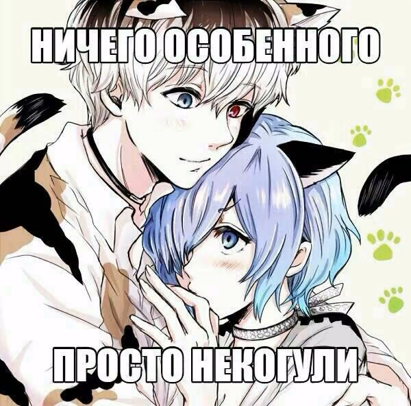 dd7a06ac2a67dc34135b765a2b2706a2.jpg