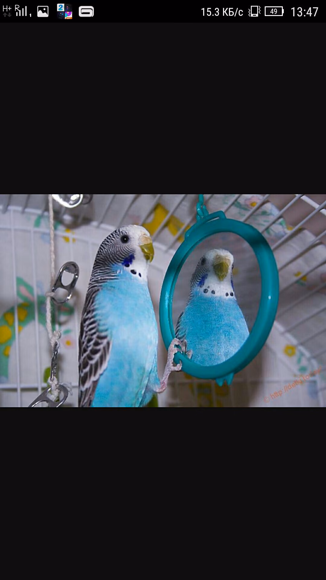 dd931978d44489858a05a05f4602746c.avif