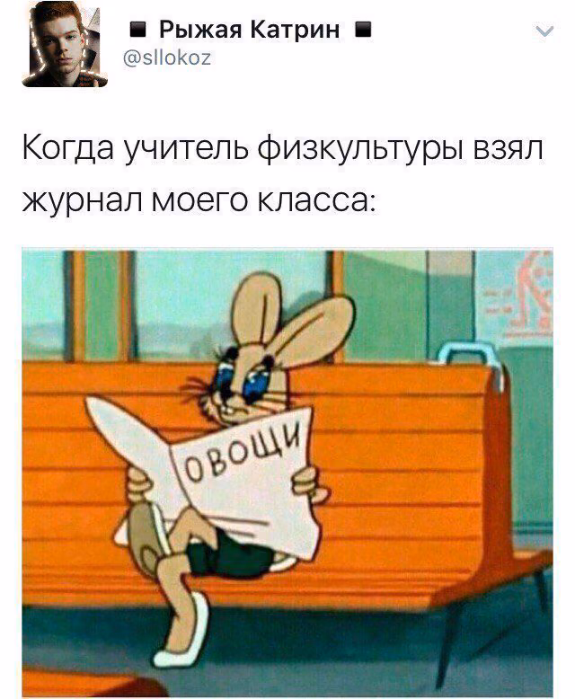 dd96447bf93e2f455fdd5e38d5cf02b7.avif