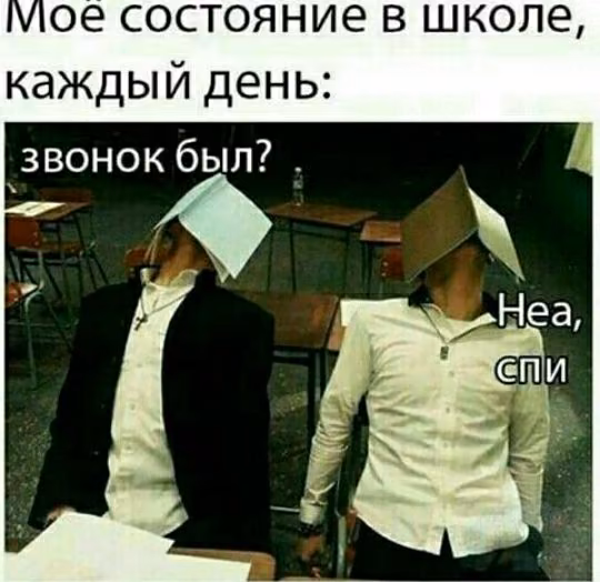 dd9f9fb7aad229d82b42526965ac2282.avif