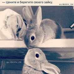 ddbbd8a0f5b64fe6cf9e27f1e28de6c7.jpg