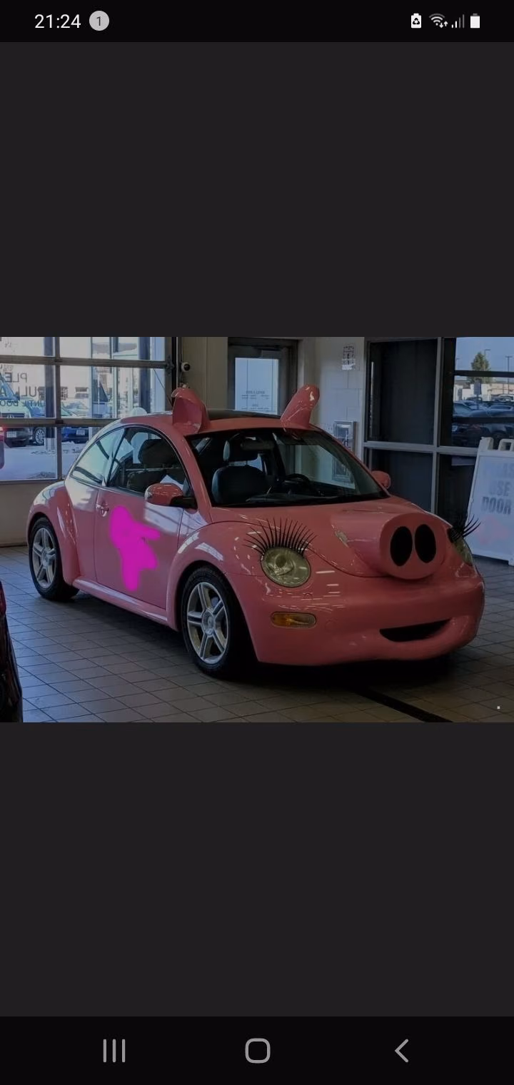 ddd377e2a75a6422b5fe7c8e776b8e76.jpg