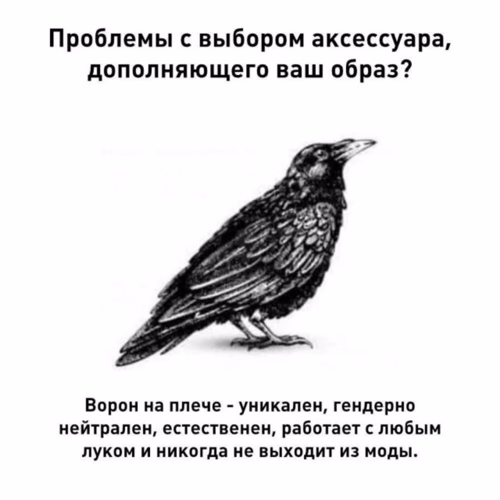 ddf1694799e3bbe1f7c75a13c3b36dc9.avif