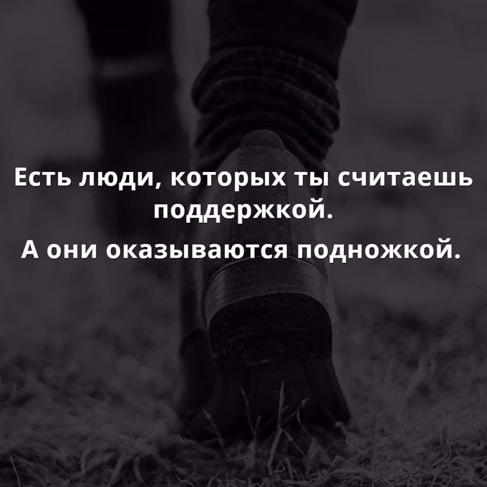 ddf2071bea6316d37b6b68e1e88e7b2c.jpg