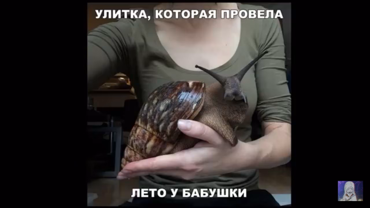 de09573253d778cf54846e22174df857.jpg