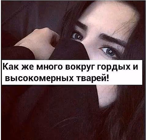 de0dd3065fe4b186edcfcac29e58fda8.avif