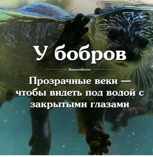 de2f6ea280b37fa3e89f25f74b6fa649.jpg