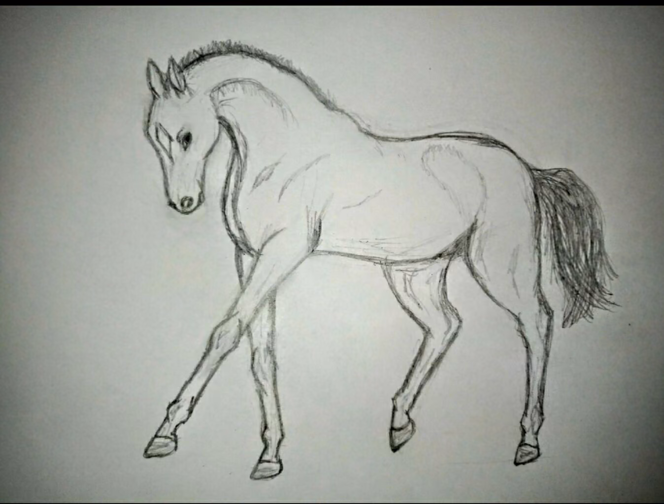 de3d4e0474c1f89666ca85d22f4cdb46.jpg