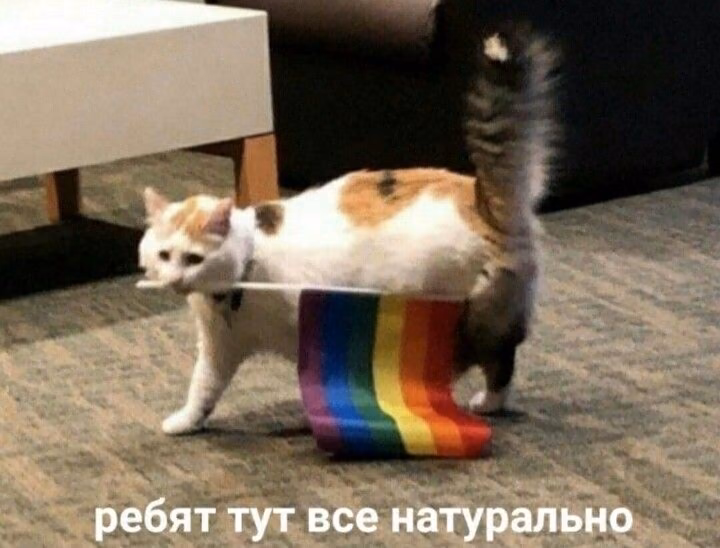 de54dffef0e1ac07072ff9521be0291b.avif