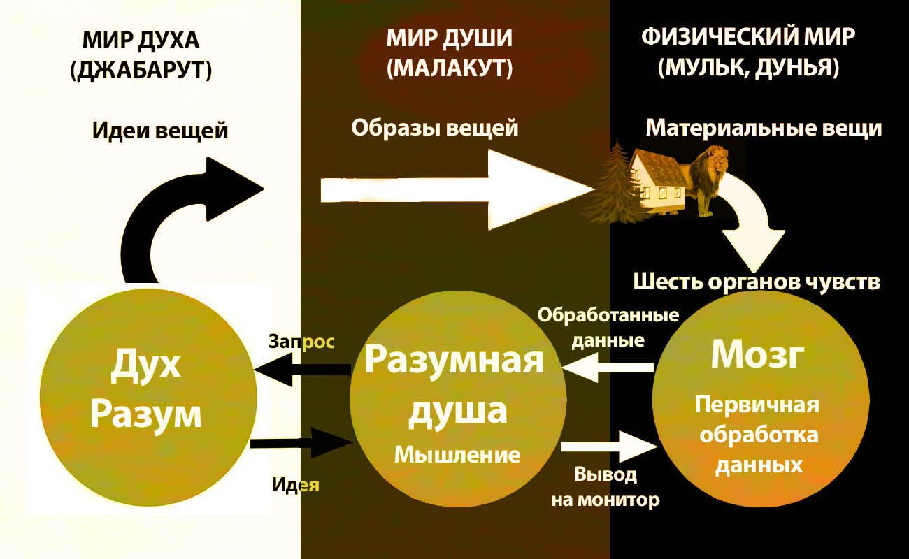de69b666333997f66273b3d913cea013.jpg