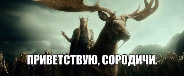 de6f40281c1594ed1d9e6e14ed73c18a.avif
