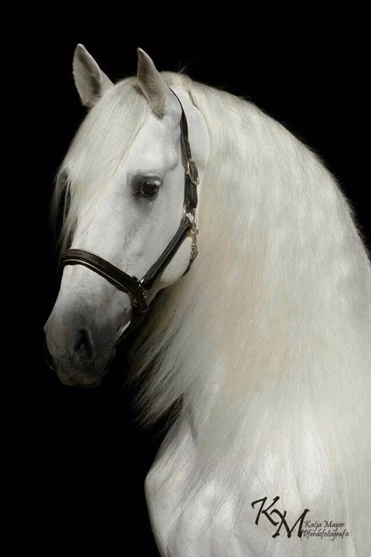 de7f99d89ad74ee35efda8ee8fedc28c.avif